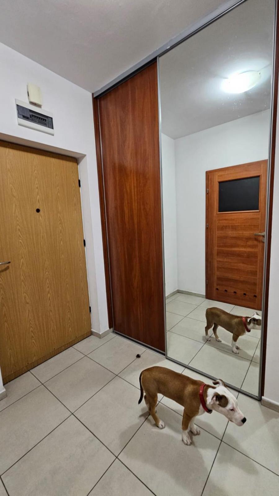 Apartament Lipinskiego Krakow Exterior photo